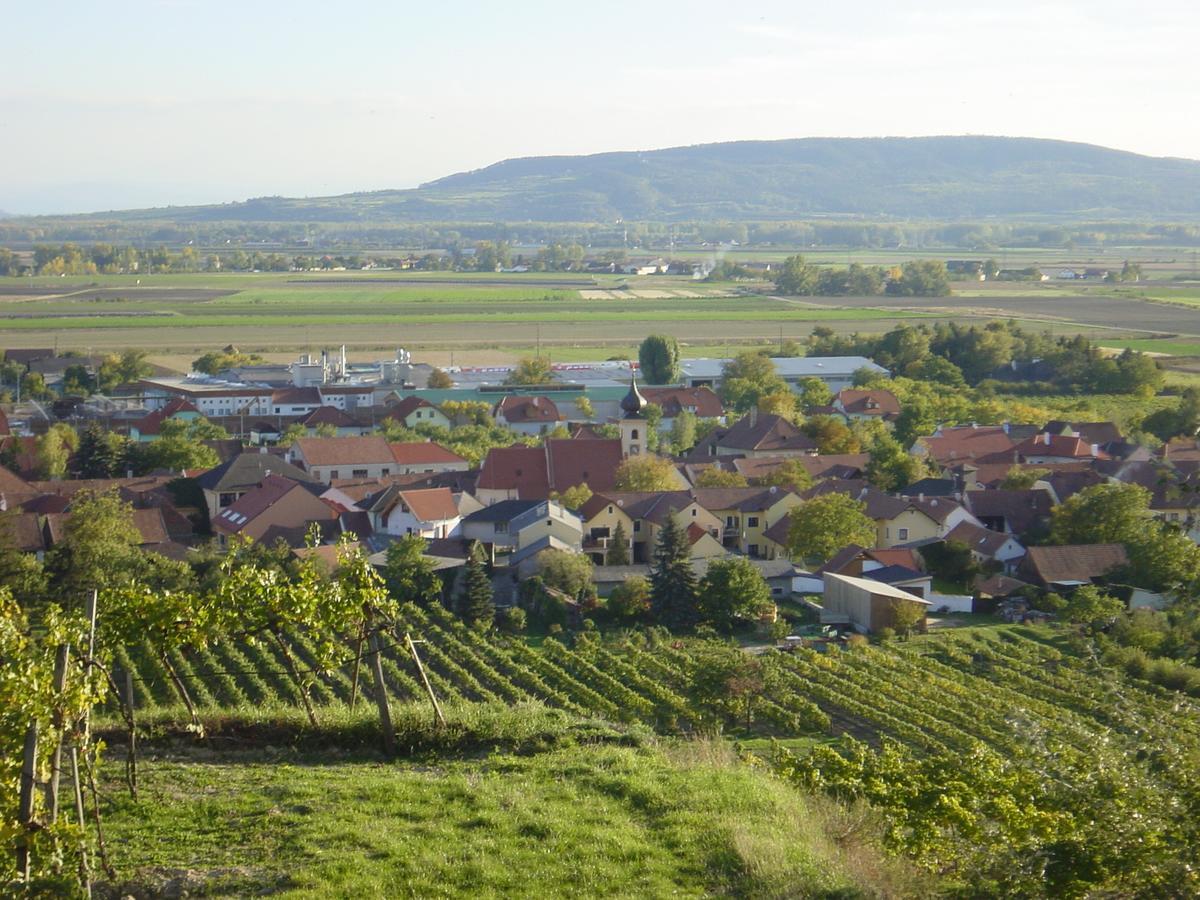 Weingut Und Gaestehaus Berger Bed & Breakfast Gedersdorf Exterior photo